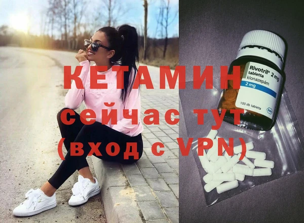 шишки Корсаков