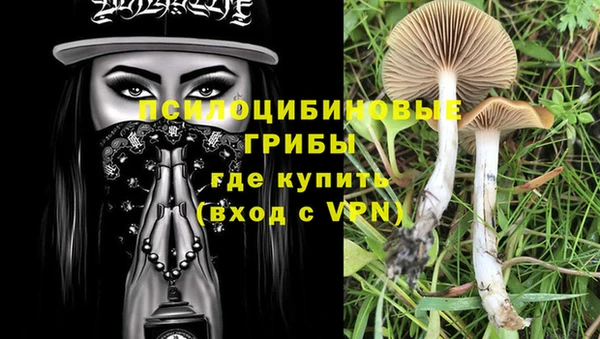шишки Корсаков