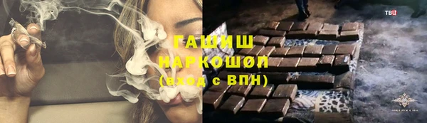шишки Корсаков