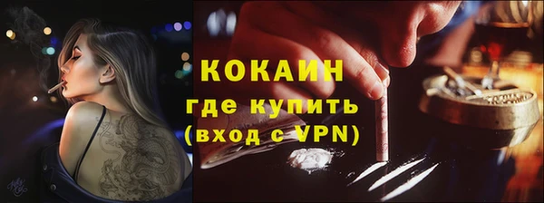 шишки Корсаков
