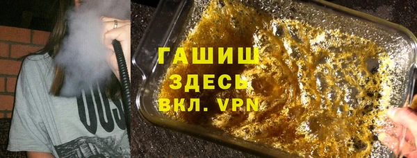 шишки Корсаков