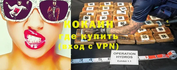 шишки Корсаков