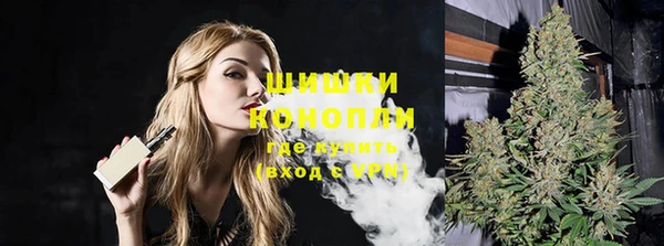 шишки Корсаков